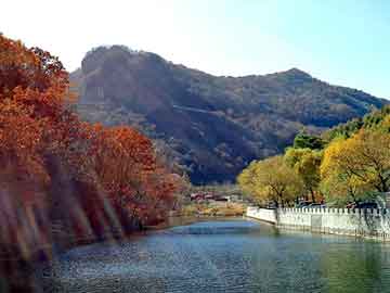 新澳天天开奖资料大全旅游团，智能手机论坛